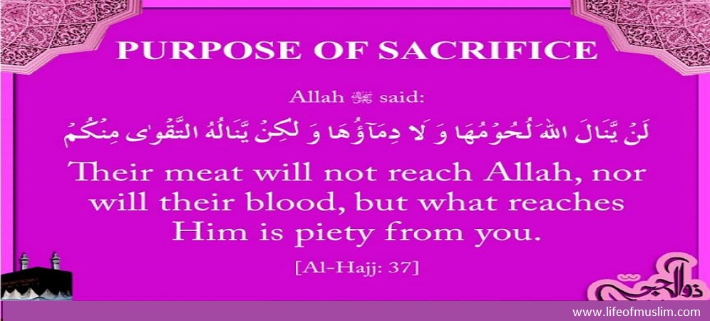 Purpose Of Sacrfice | It Is Taqwah Reaches Allah