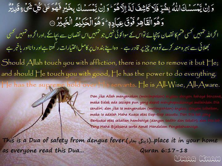 Dua of Safety From Dengue Fever in Light of Quran