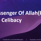 The Messenger Of Allah(P.B.U.H) Forbade Celibacy