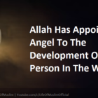 Allah Has Appointed An Angel To The Development Of A Person In The Womb