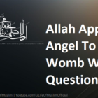 Allah Appoints An Angel To Every Womb Who Asks Questions