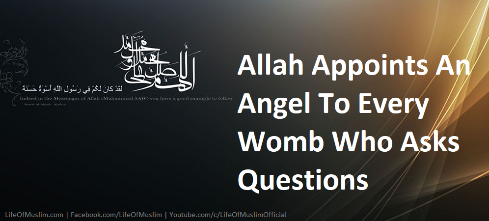 Allah Appoints An Angel To Every Womb Who Asks Questions