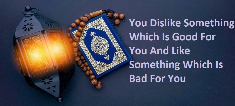 You Dislike Something Which Is Good For You And Like Something Which Is Bad For You