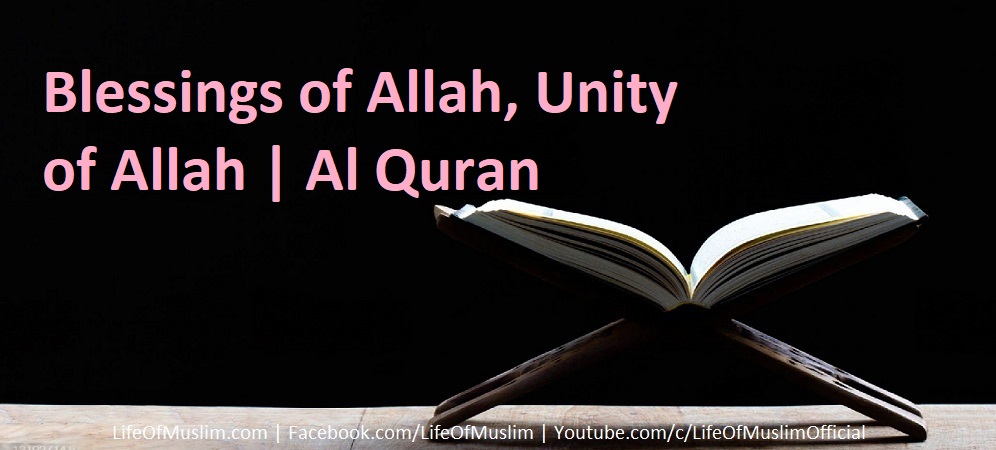 Blessings of Allah, Unity of Allah | Al Quran