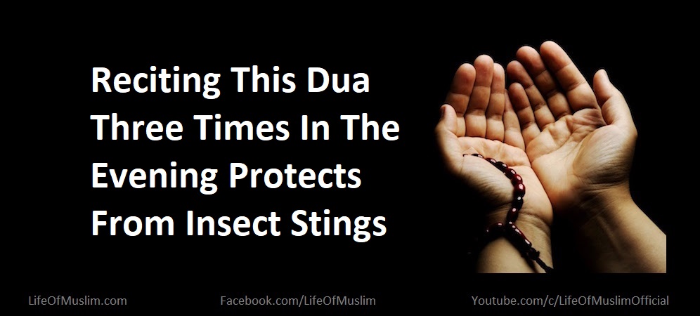 Reciting This Dua Three Times In The Evening Protects From Insect Stings
